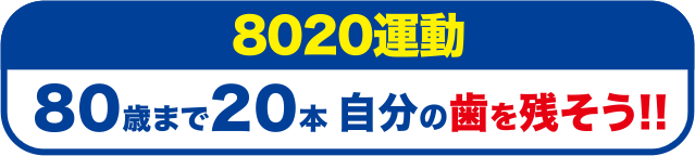 8020運動 80歳まで20本 自分の歯を残そう！！